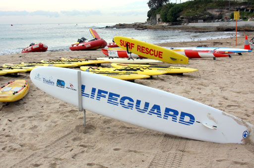 Shark Island Swim Challenge 2015