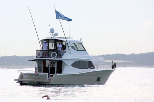Shark Island Swim Challenge 2015