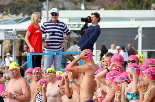 Shark Island Swim Challenge 2015