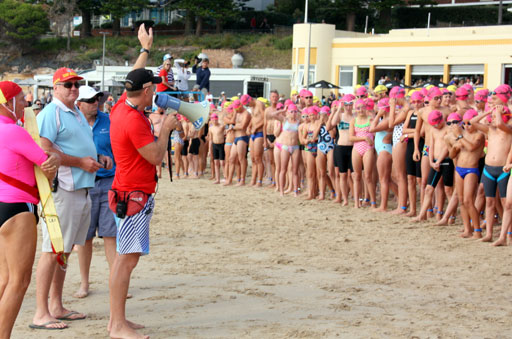 Shark Island Swim Challenge 2015