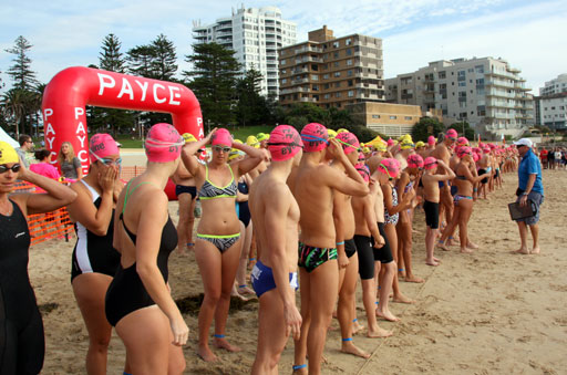 Shark Island Swim Challenge 2015
