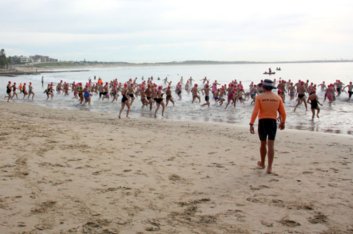 Shark Island Swim Challenge 2015