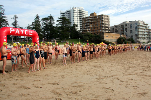 Shark Island Swim Challenge 2015