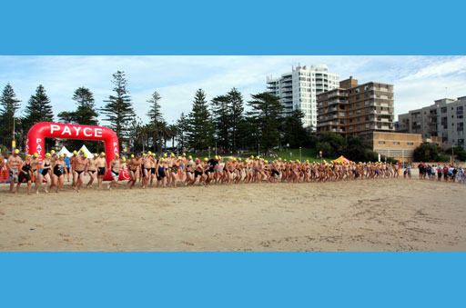 Shark Island Swim Challenge 2015