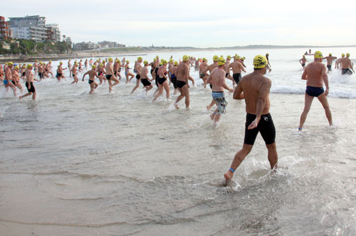 Shark Island Swim Challenge 2015