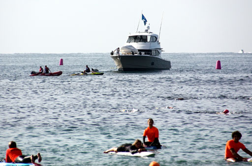 Shark Island Swim Challenge 2015