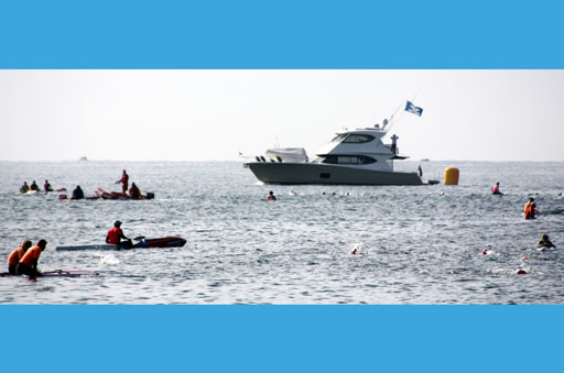 Shark Island Swim Challenge 2015