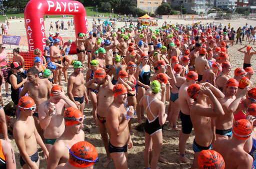 Shark Island Swim Challenge 2015