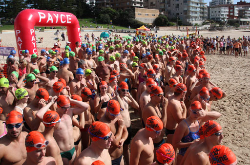 Shark Island Swim Challenge 2015