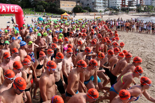 Shark Island Swim Challenge 2015