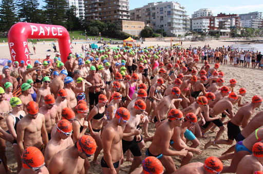 Shark Island Swim Challenge 2015