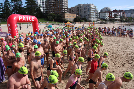 Shark Island Swim Challenge 2015