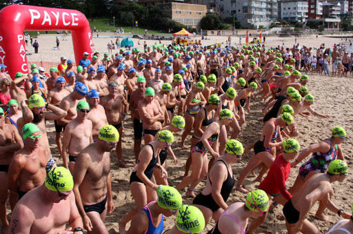 Shark Island Swim Challenge 2015
