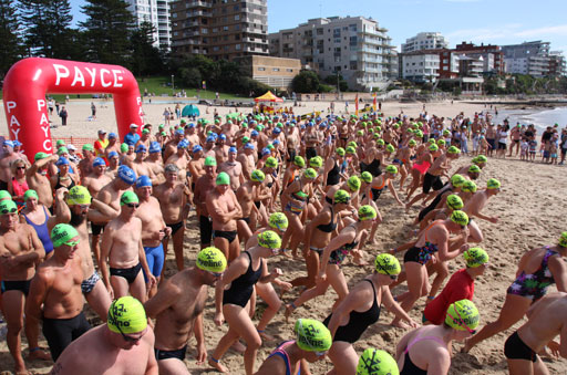 Shark Island Swim Challenge 2015