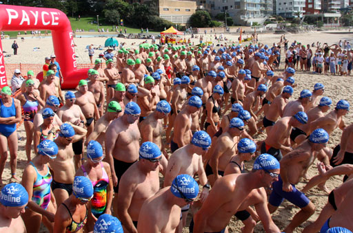Shark Island Swim Challenge 2015