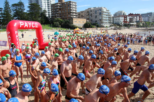 Shark Island Swim Challenge 2015