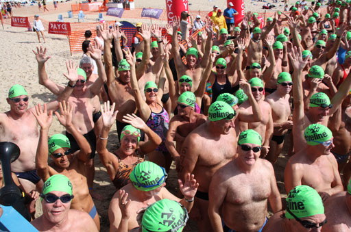 Shark Island Swim Challenge 2015