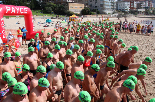 Shark Island Swim Challenge 2015