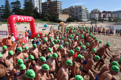 Shark Island Swim Challenge 2015