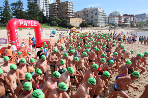 Shark Island Swim Challenge 2015