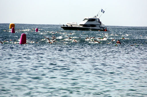 Shark Island Swim Challenge 2015