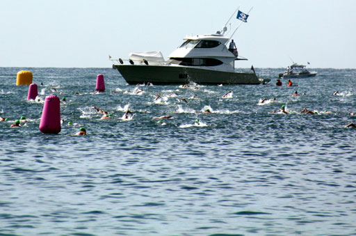 Shark Island Swim Challenge 2015
