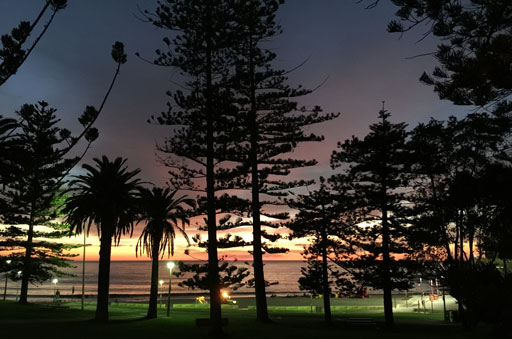 Shark Island Swim Challenge 2015