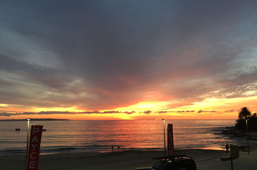 Shark Island Swim Challenge 2015