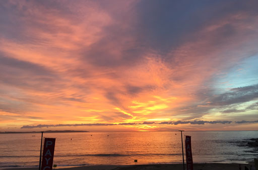 Shark Island Swim Challenge 2015