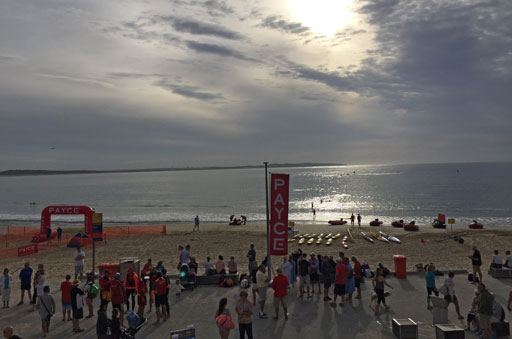 Shark Island Swim Challenge 2015