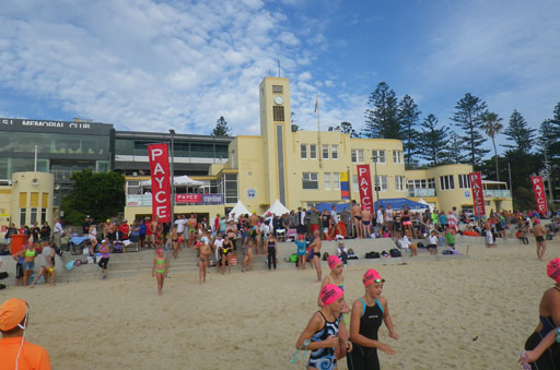 Shark Island Swim Challenge 2015