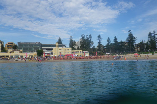 Shark Island Swim Challenge 2015