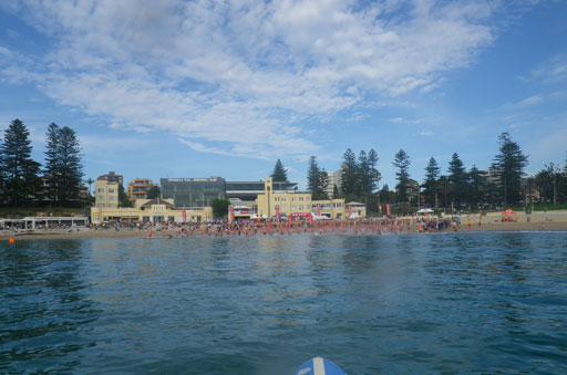 Shark Island Swim Challenge 2015