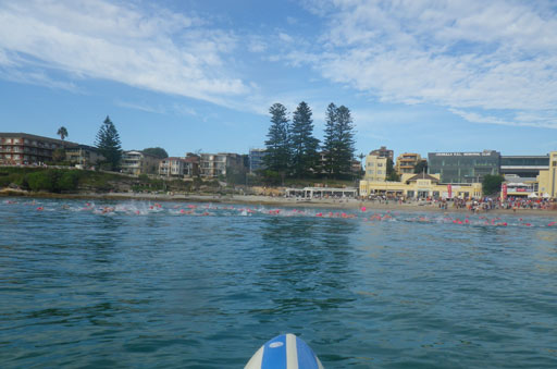 Shark Island Swim Challenge 2015