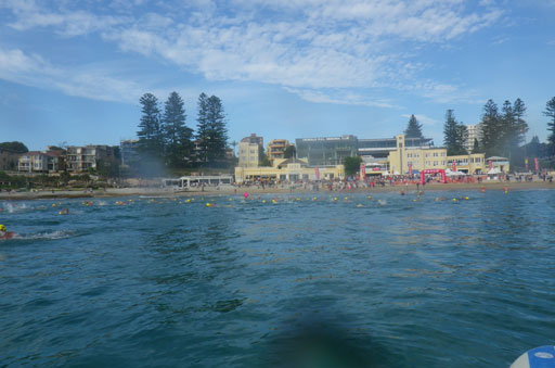 Shark Island Swim Challenge 2015