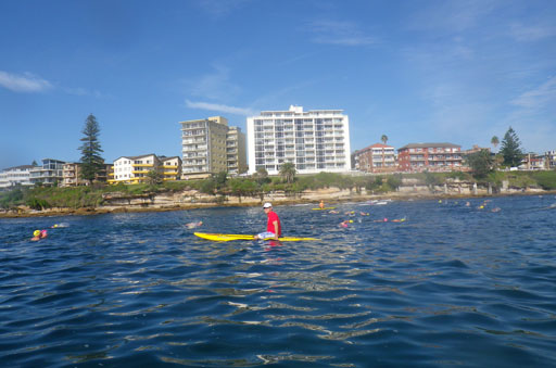 Shark Island Swim Challenge 2015