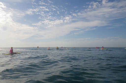 Shark Island Swim Challenge 2015