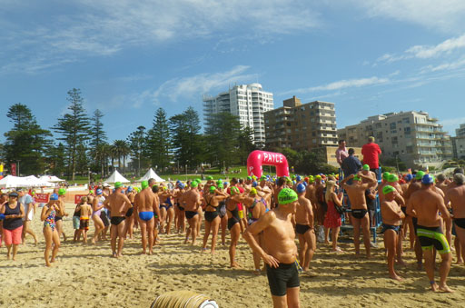 Shark Island Swim Challenge 2015