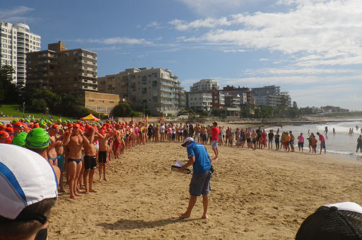 Shark Island Swim Challenge 2015