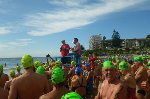 Shark Island Swim Challenge 2015