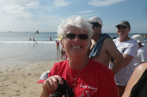 Shark Island Swim Challenge 2015