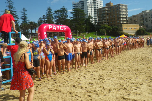Shark Island Swim Challenge 2015