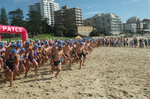 Shark Island Swim Challenge 2015