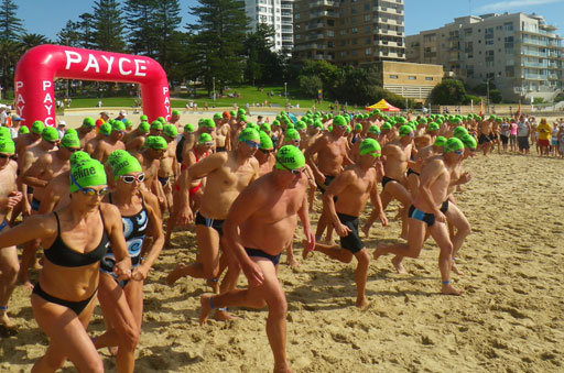Shark Island Swim Challenge 2015