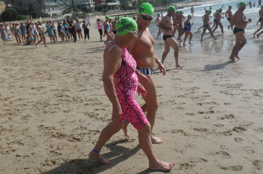 Shark Island Swim Challenge 2015
