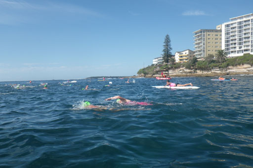 Shark Island Swim Challenge 2015