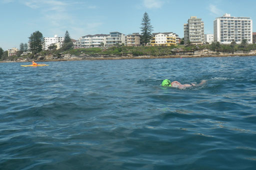 Shark Island Swim Challenge 2015