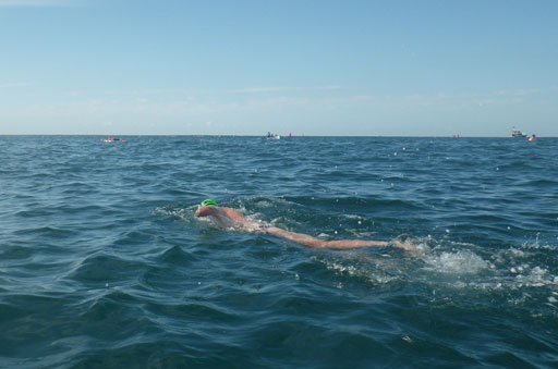 Shark Island Swim Challenge 2015