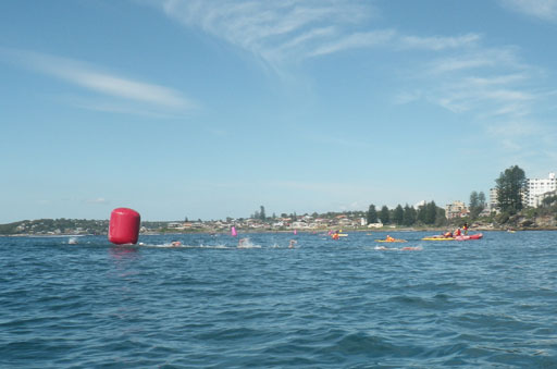 Shark Island Swim Challenge 2015
