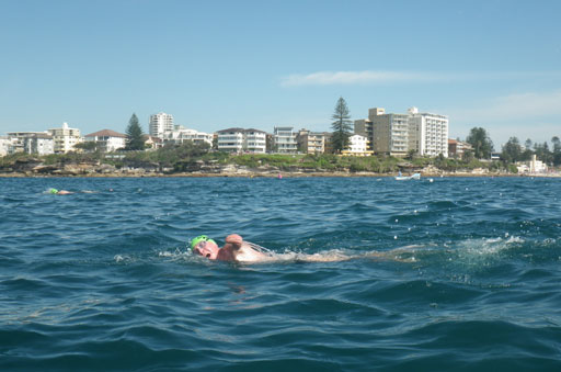 Shark Island Swim Challenge 2015